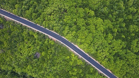 road through the green field