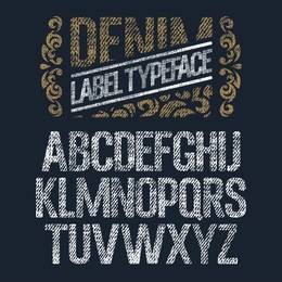 textured vintage font / denim jeans label typeface / design elements with grunge effect