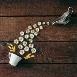 coffee cup with flowers on wooden background. flat lay. nature concept.