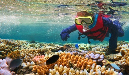 child (girl age 5-6) snorkeling dive in the great barrier reef in the tropical north of queensland, australia
