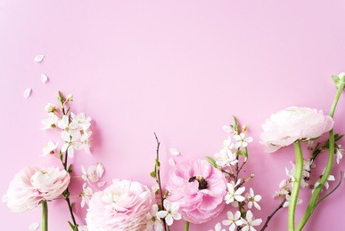 beautiful spring flowers at pink background.frame composition 