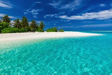 white sandy tropical beach with palm trees and blue lagoon on sunny day