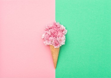 cherry tree blossom in ice cream waffle cone on hipster colors background. styled flat lay. minimal concept