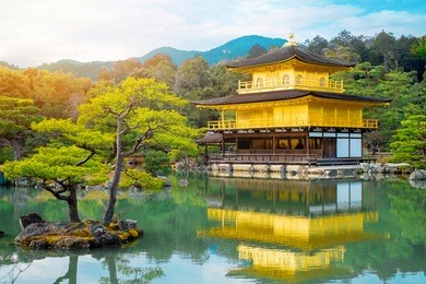 the world cultural heritage, kinkaku ji under dramatic morning sunshine, the traditional golden zen buddhist temple in kyoto, japan