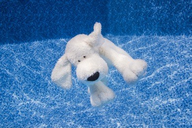 plush toy floating underwater in a pool