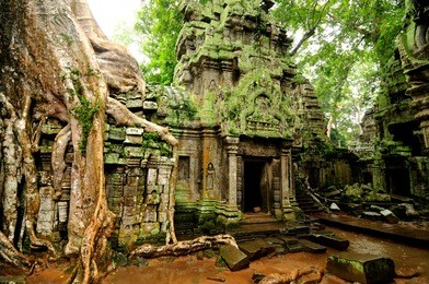angkor wat - ta prohm temple, cambodia