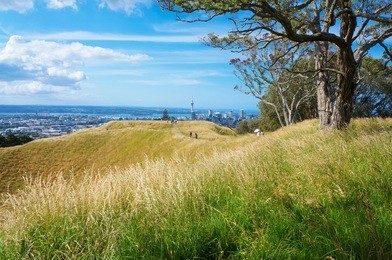 top of the mount eden volcano  with view of auckland. high peak of the tourist season.