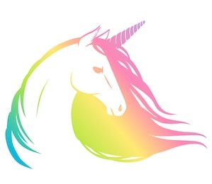 rainbow unicorn. vector illustration