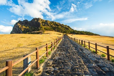 view of seongsan ilchulbong moutain in jeju island, south korea.