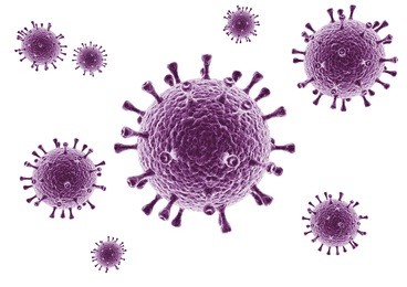 3d rendering of a virus