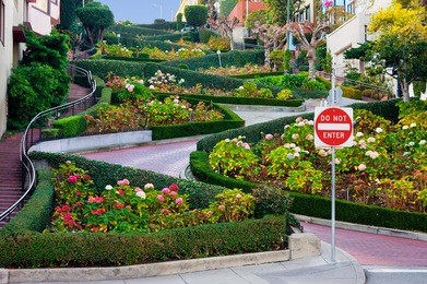lombard street in san francisco