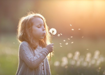 beautiful girl blowing dandelion