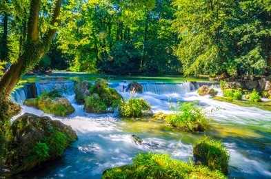 view of a creek in the english garden in munich, bayern, germany
