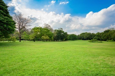 green lawn with blue sky and clouds in park