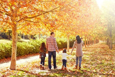 family walking in an autumn park with fallen fall leaves
