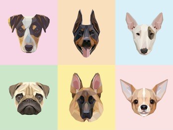 dog breeds portraits vector illustrations in modern geometric style isolated on colorful light backgrounds. jack russell, doberman, bull terrier, pug, german shepherd and chihuahua