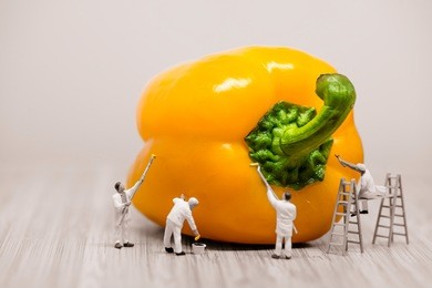 painters coloring bell pepper. macro photo.