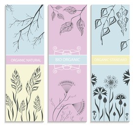 decorative, floral, botanical card