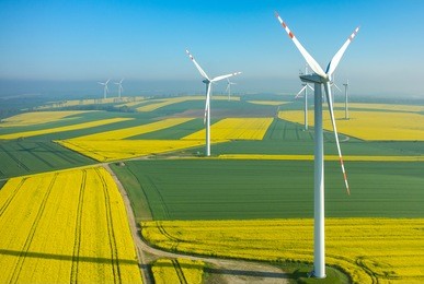 aerial view on the windmills on the field