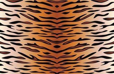 vector tiger skin