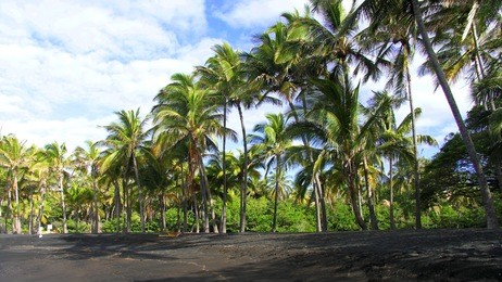 punaluu black sand beach, big island, hawaii