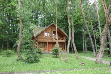 wooden house in the woods
