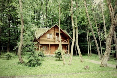 wooden house in the woods