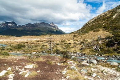nature in tierra del fuego, argentina