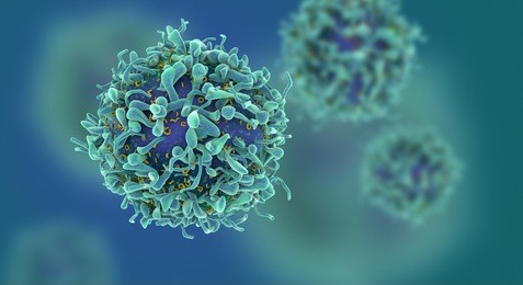 3d illustration of t cells or cancer cells