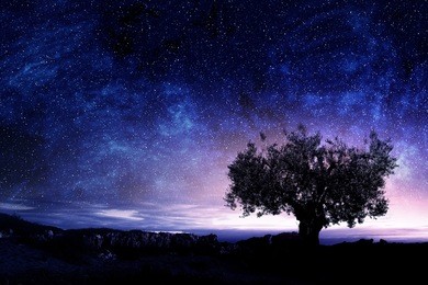 night picturesque view