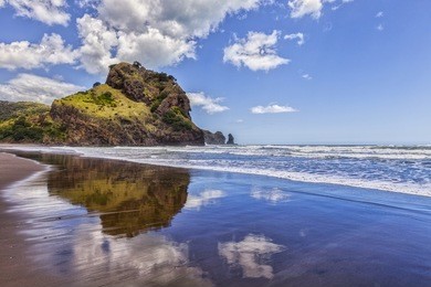 piha beach and lion rock, auckland region, new zealand.