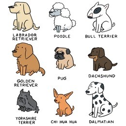 vector set of dog