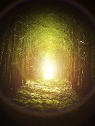 road in magic dark forest, dark vignetting, sun glare