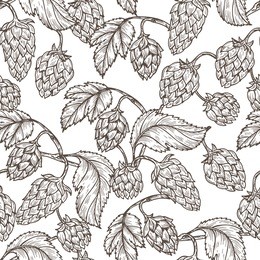 hand drawn engraving style hops seamless pattern. common hop or humulus lupulus branch with leaves and cones. black and white vector floral background 