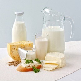 dairy
