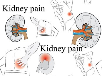 seamless background kidney pain