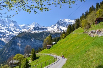sunny day during spring time at gimmelwald & murren villages near lauterbrunnen in switzerland. green field & golden flower with snow-covered mountain in background.