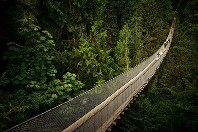 capilano suspension bridge in vancouver, canada.