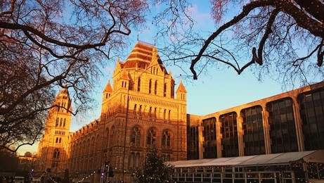 sunset illuminates natural history museum in london