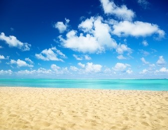 sand of beach caribbean sea