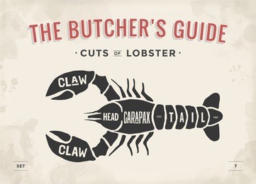 cut of meat set. poster butcher diagram and scheme - lobster. vintage typographic hand-drawn visual guide for butcher shop. vector illustration