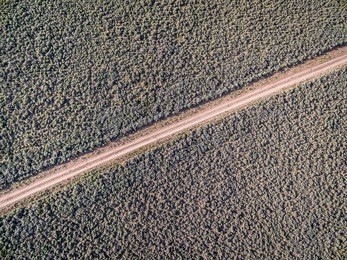 backcountry dirt road through fields covered by sagebrush - aerial view