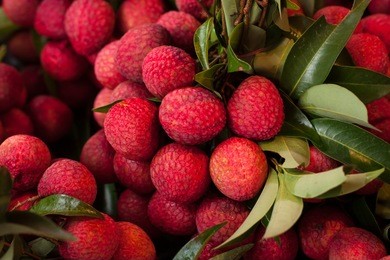 fresh litchi fruit