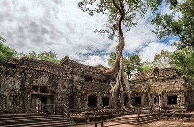 amazing ta prohm temple overgrown with trees. mysterious ruins of ta prohm nestled among rainforest in angkor, siem reap, cambodia. 