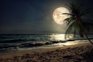 beautiful fantasy tropical beach with milky way star in night skies, full moon - retro style artwork with vintage color tone (elements of this moon image furnished by nasa)