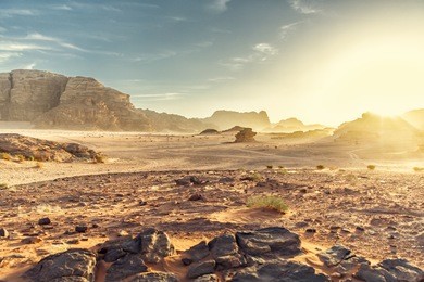 desert landscape of wadi rum in jordan, with a sunset, stones, bushes and the sky.