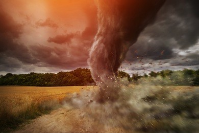view of a large tornado destroying a field and forest