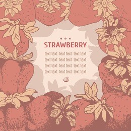 vintage hand drawn sketch strawberry frame. eco food design. berries border. vector illustration