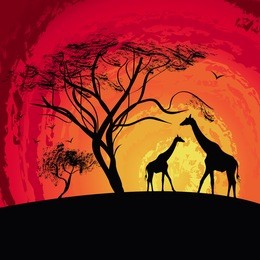 silhouette of a giraffe , sunset in africa , landscape , vector