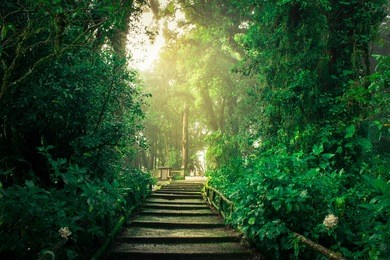 doi inthanon national park, chiang mai, thailand